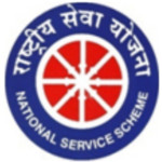 nss-logo.jpg